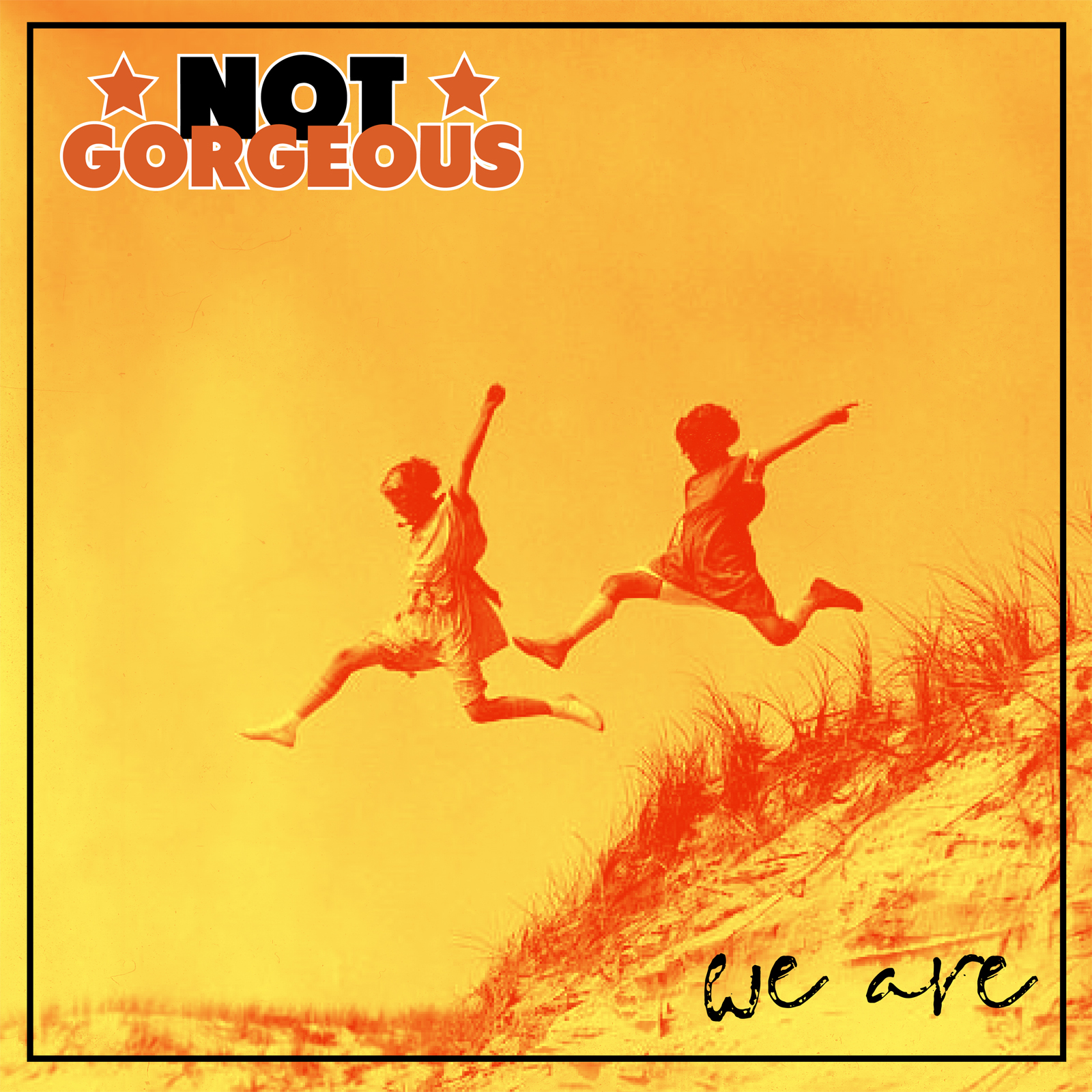 (image for) Not Gorgeous - We Are... LP